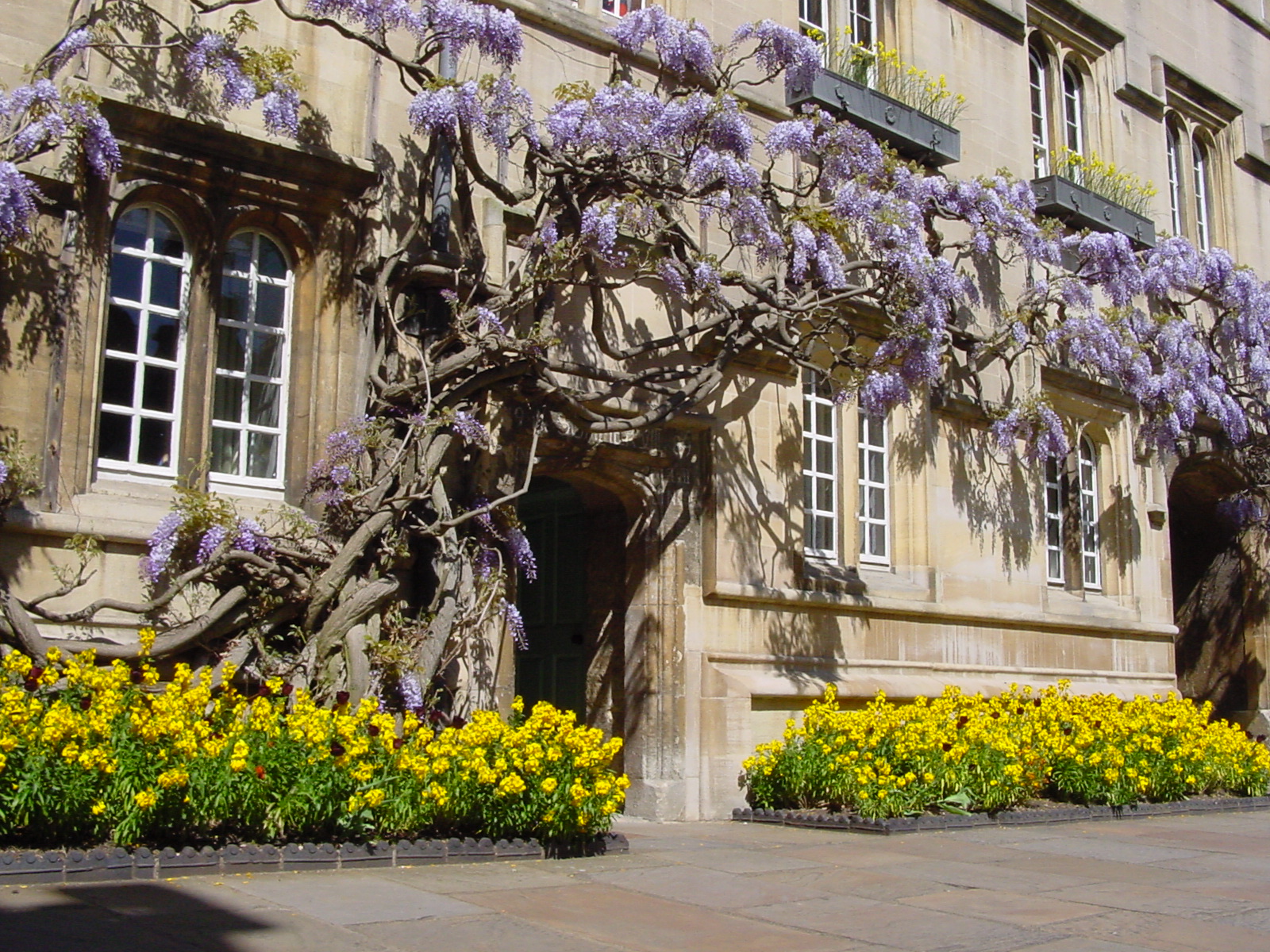 Admissions FAQs