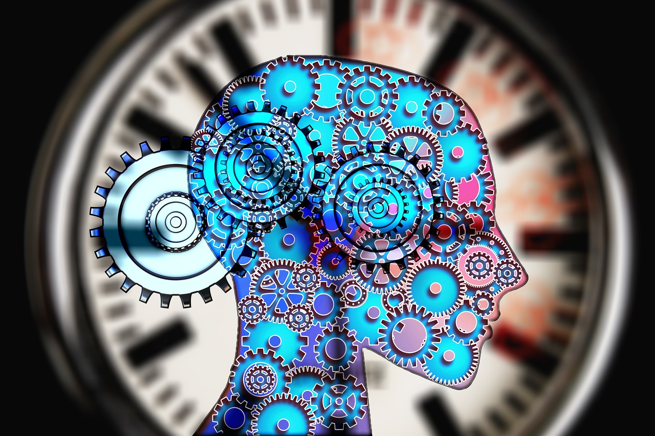 Experimental Psychology
